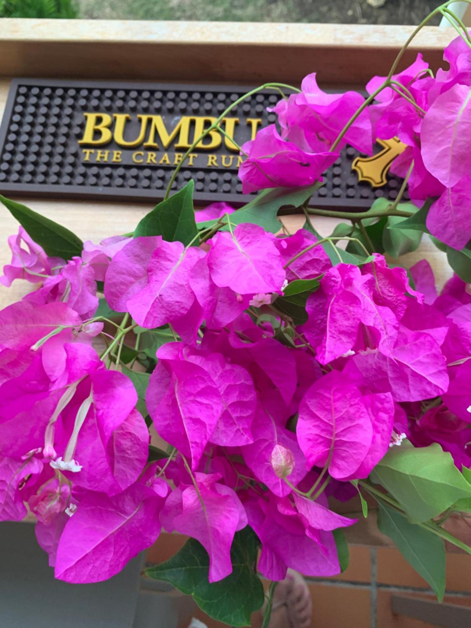 Appartement Bumbu 626 Anse Des Rochers サン・フランソワ エクステリア 写真